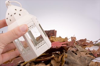 Little bird house made of metal on Autumn leaves