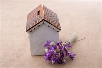 Bunch of flowers placed behind a model house