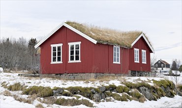 Lofoten house with grass roof