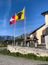 Left Swiss national flag National flag with Swiss cross Right flag Flag of canton Uri with bull's head Head of bull with nose ring