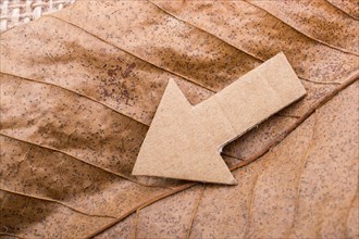 Arrow cut out of brown paper on dry leaf