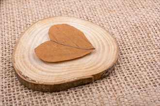 Heart shaped object on a piece of round wood