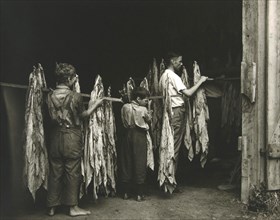 Tobacco Workers