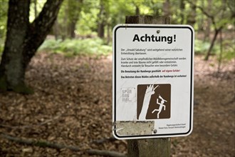 Warning sign in the Sababurg primeval forest