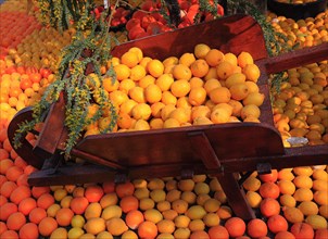 Wheelbarrow filled with oranges and lemons