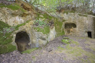 Entrances to Etruscan burial chambers