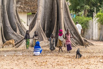 Children in front of the large board roots of a huge kapok tree