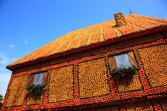 Half-timbered house motifs of citrus fruits