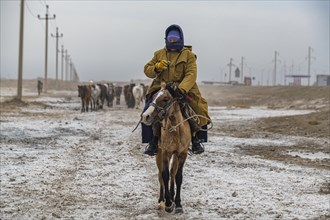 Horse herder near Aralsk