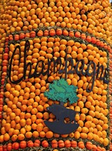 Representation of the Champagne region with lemons and oranges