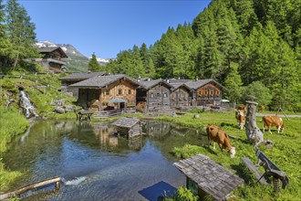 Alpine huts in Aussergschloess