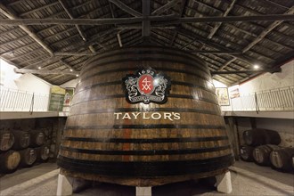 Huge oak barrel with port wine