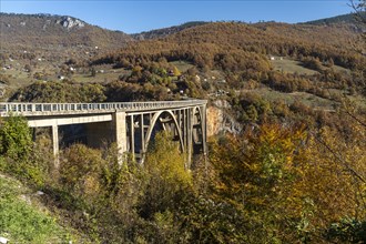 Tara Bridge and Tara Gorge in Autumn