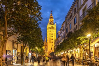 The lively pedestrian street Calle Mateos Gago and the Giralda bell tower of Santa Maria de la Sede Cathedral at dusk