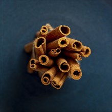 Bunch cinnamon sticks dark blue background