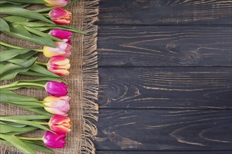 Colorful tulips row rope mat