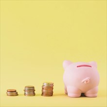 Piggy bank with stacks coins