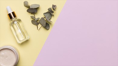 Flat lay serum bottle with plant