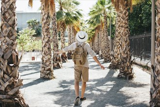 Traveler walking through palm trees