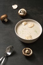 High angle mushrooms cream soup