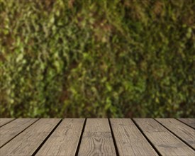 Wooden texture looking out grass background