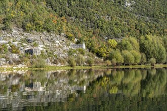 Landscape on the river Crnojevic near Rijeka Crnojevica