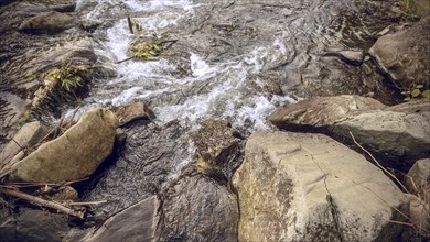 Closeup of river and stones. Water in a raging mountain river. Beautiful natural background of stones and water. The texture of clean water and fast river. Background to insert your text