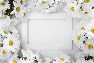 Top view frame surrounded by daisies