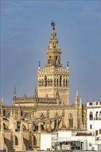 Cathedral of Santa Maria de la Sede in Seville
