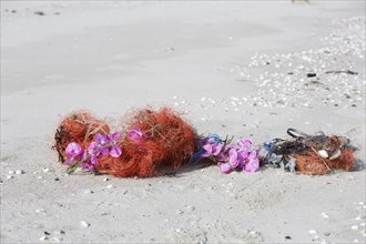 Marine litter washed up on the beach
