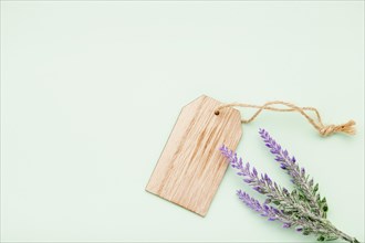 Flat lay arrangement with lavender