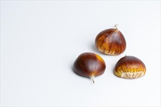 Seasonal chestnuts harvested from the field on a white background