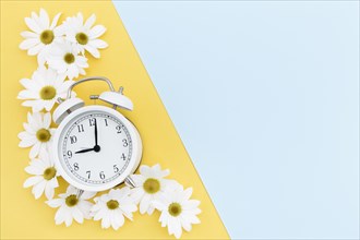 Flat lay frame with clock daisies