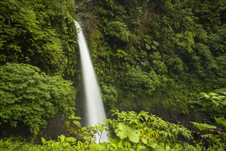 Majestic waterfall rainforest costa rica