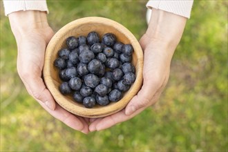 Top view woman holding bowl with blueberries