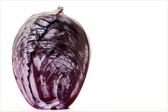 Whole red cabbage isolated on white background
