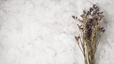 Bouquet lavender with copy space