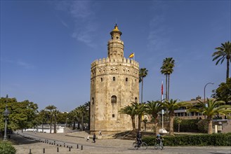 The historic Torre del Oro tower in Seville