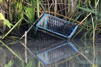 Fish box washed up on the banks of the River Peene