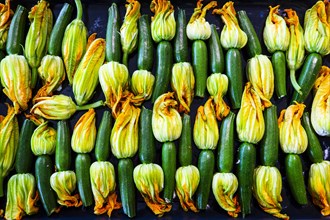 Fresh flowering courgettes on a baking tray