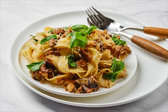 Mushroom pasta with champignon on a plate