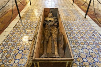 Coffin with mummy lying on the floor