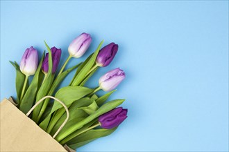 Bunch purple tulips with brown paper bag arranged corner against blue background