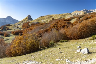 Mountain landscape of Durmitor National Park in autumn