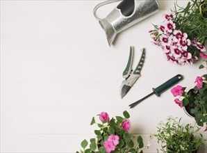 Pink flowers with gardening instruments