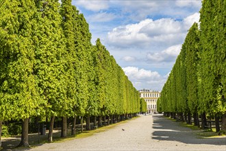 Palace Park with Schoenbrunn Palace