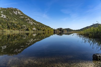 Landscape on the river Crnojevic near Rijeka Crnojevica