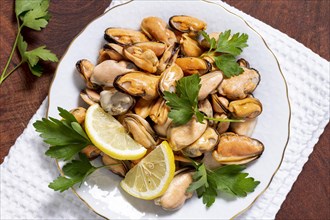 Tasty mussels with parsley plate