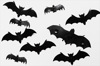 Flat lay arrangement with bats