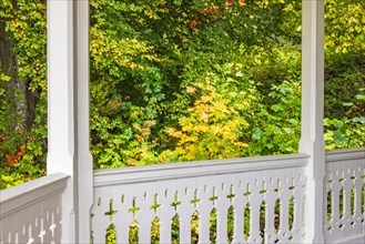 Wooden veranda with beautiful autumn colours